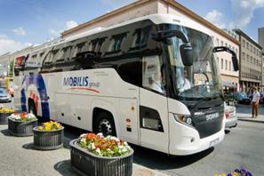 Mobilis10